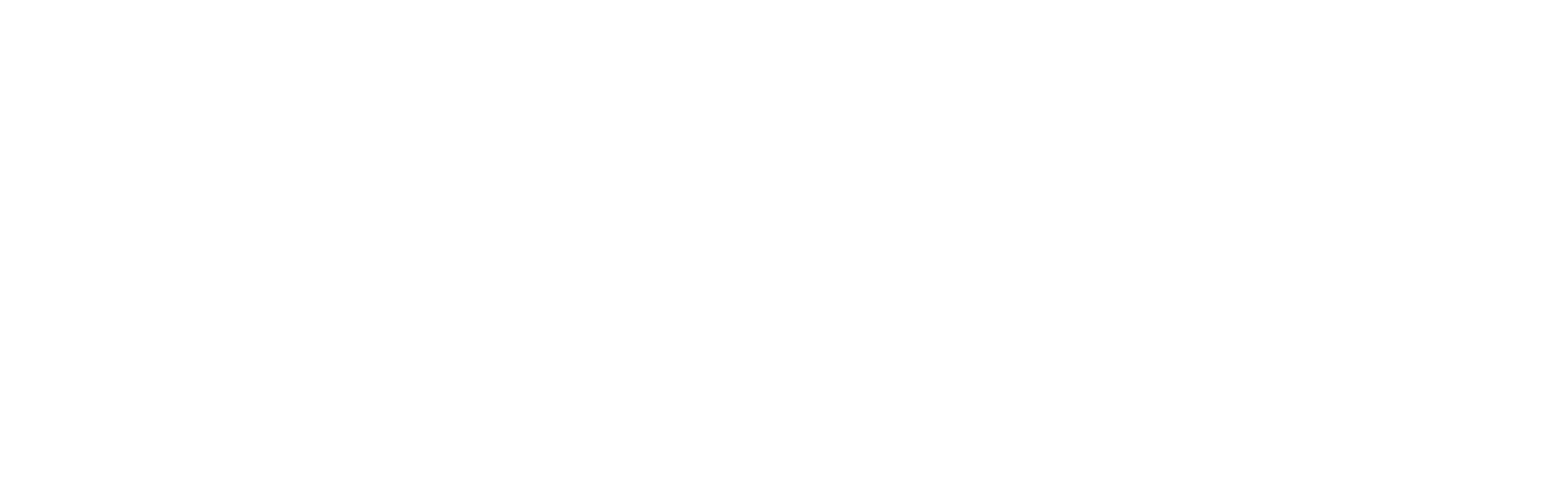Logo von VisiConsult